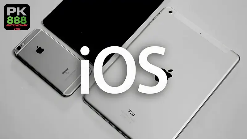 Hướng dẫn tải ứng dụng cho Android & iOS